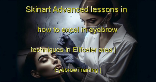 Skinart Advanced lessons in how to excel in eyebrow techniques in Elifceler area | EyebrowTraining | EyebrowClasses | SkinartTraining-Turkey